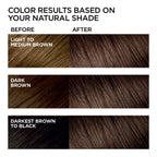L'Oreal Paris Feria Hyper Platinum Advanced Lightening System Hair Bleach