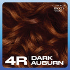 Clairol Nice'n Easy Permanent Hair Dye Dark Auburn 4R - 100% Gray Coverage