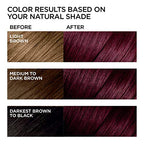 L'Oreal Paris Feria Hyper Platinum Advanced Lightening System Hair Bleach
