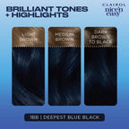 Clairol Nice'n Easy Permanent Hair Dye – 3 Brown Black, 100% Gray Coverage